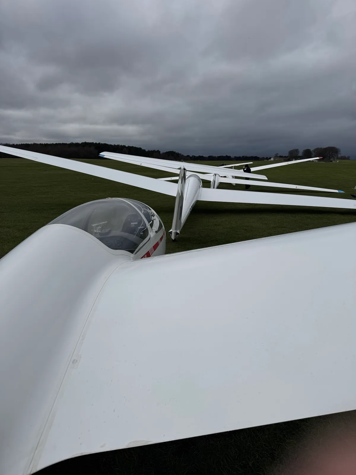 Glider back